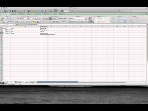 Using Excel for the FIrst Time 1.mp4