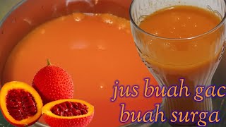 CARA MEMBUAT JUS BUAH GAC/BUAH SURGA