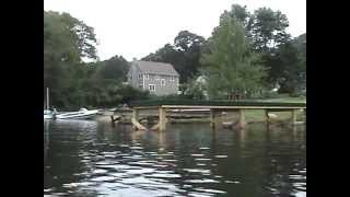 Maggies Dock Jumping Dog Extreme