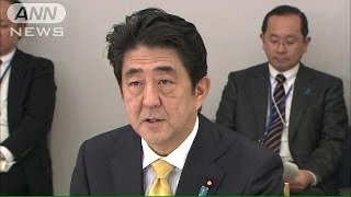 安倍総理「集団的自衛権」の必要性を強調(13/12/18)