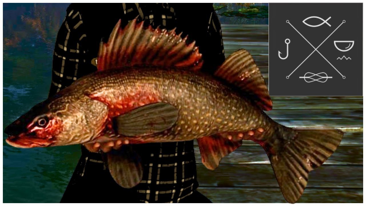 Pikeslasher Monster Catch! | Emerald Lake | Fishing Planet in 2025