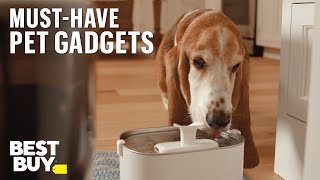 5 Must-Have Gadgets for Your Pets - from Best Buy