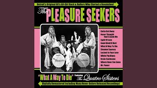 Video thumbnail of "The Pleasure Seekers - What A Way To Die"