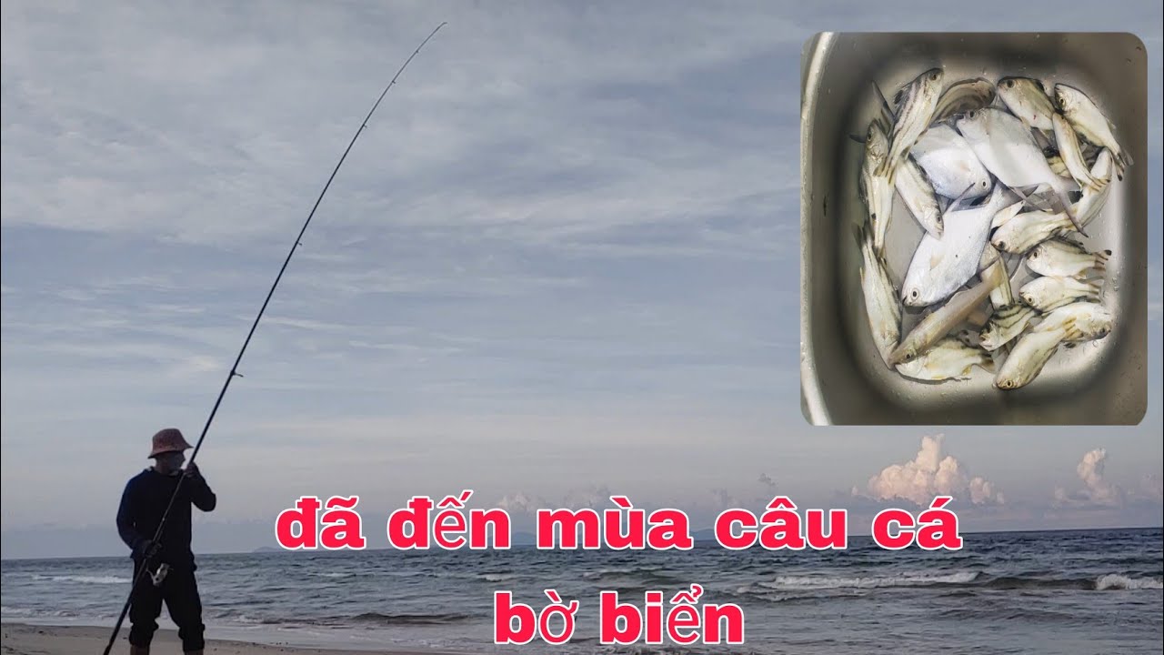 Đi ô tô câu cá bạt bãi biển và cái kết đầy cá | go by... - youtube