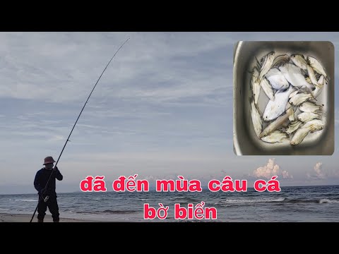Video Đi ô tô câu cá bạt bãi biển và cái kết đầy cá | go by... - youtube