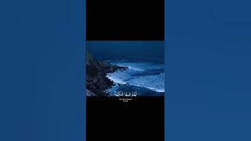 ( إِنَّ أَصْحَابَ الْجَنَّةِ الْيَوْمَ فِي شُغُلٍ فَاكِهُونَ )تلاوة خاشعة بصوت الشيخ#ياسر_الدوسري🌿💗