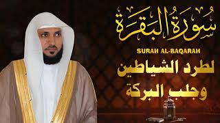 سورة المسد بصوت الشيخ ماهر المعيقلي