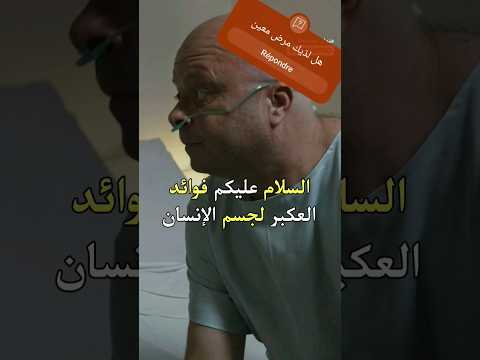 فوائد العكبر للمعدة خيركم من تعلم علما وعلمه النحل العسل تربية النحل