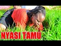 Nyasi Tamu By Deejay Msalaba