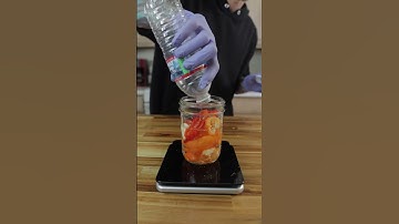 How To Preserve Your Peppers With Lacto Fermentation #shorts