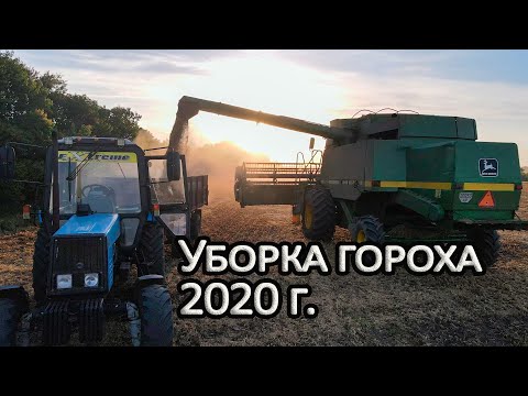 Видео: Уборка гороха 2020г. John Deere 9500.