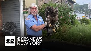 Sparta Police Department rescues bald eagle