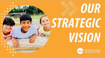 Our Strategic Vision