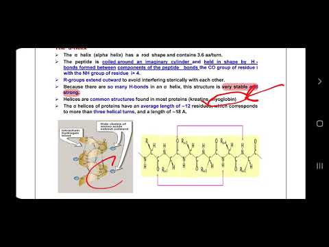 protein structure part 2 - YouTube