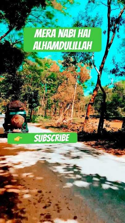 Maula ya Salli wa sallim-Kaside Burda Shareef | (Slwed & Reverd With Lyrics )ft. Abu Abaya