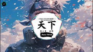 天下 (抖音DJ版) - 夏小夏、烃峰『顾不顾将相王侯 管不管万世千秋,求只求爱化解 这万丈红尘纷乱永无休。』♪ || 年度最佳抖音歌曲 | 抖音最火歌曲音 | 抖音 | TikTok ♪