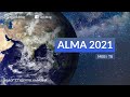 ALMA MATER 2021 |  Факультет міжнародних економічних відносин та туристичного бізнесу