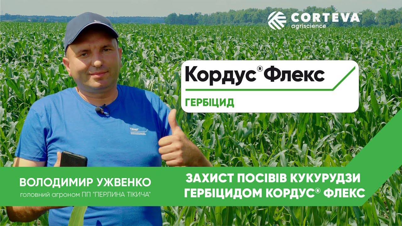 Реальний досвід використання гербіциду Кордус® Флекс – відгук ПП "Перлина Тікича"