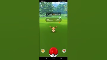 Lv35 Hundo Eevee 100%Iv |Pokemon go #shorts