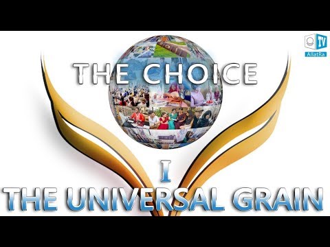 the-universal-grain.-part-one.-the-choice