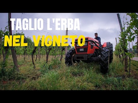 Video: Gli Agricoltori Possono Essere Privati dei Sussidi Per L'erba Secca Caduta