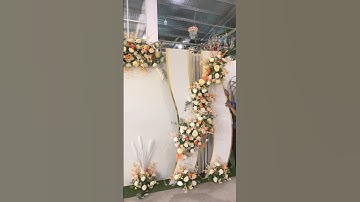 Backdrop chụp hình