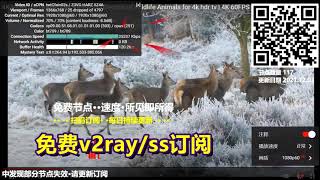 100+高速免费节点分享••v2ray•winXray【扫描二维码】添加订阅••速度•所见即所得••1080p稳定流畅••v2ray订阅••winXray订阅••每日持续更新