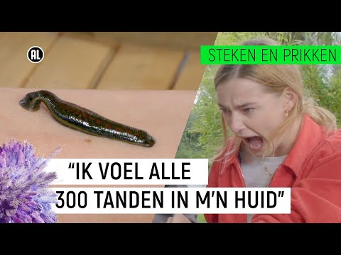 BLOEDZUIGER ZUIGT EMMA&#039;S BLOED! | Steken en Prikken S2 #1 | NPO Zapp