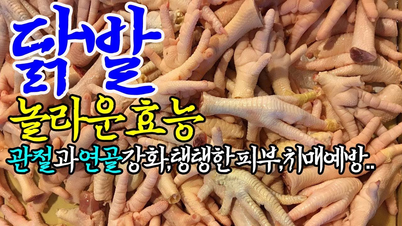 ☞닭발의 놀라운 효능【두뇌건강,면역력\u0026스태미너강화,혈관건강에도 좋은 닭발~!】