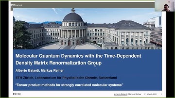 Quantum Dynamics with the Time-Dependent Density Matrix Renormalization Group