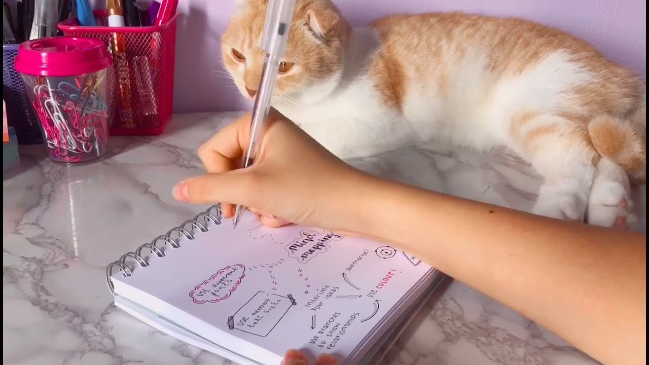 How to Make a Mind Map 