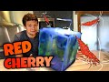 On cre un aquarium pour crevettes red cherry neocaridina 