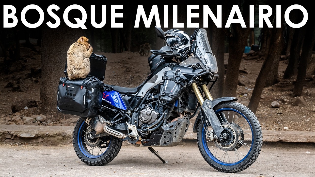 Monos, tormenta y casi sin gasolina... Marruecos #2