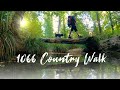 Hiking the 1066 Country walk trail with Woody the dog 🐕