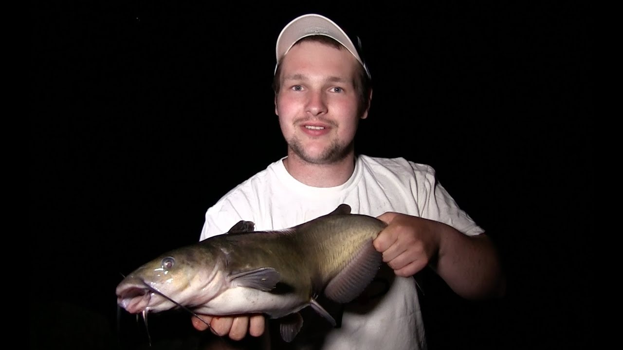Quick Snap: Delaware River Catfish