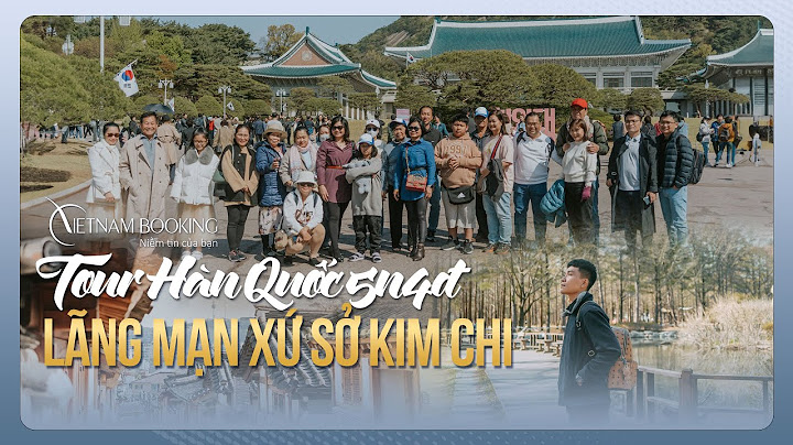 Tour đảo cẩm kim hội an chi phí bao nhiêu