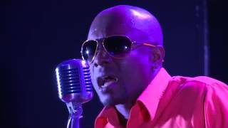 Rod'hellys gasyTara Avion 2013 acoustique