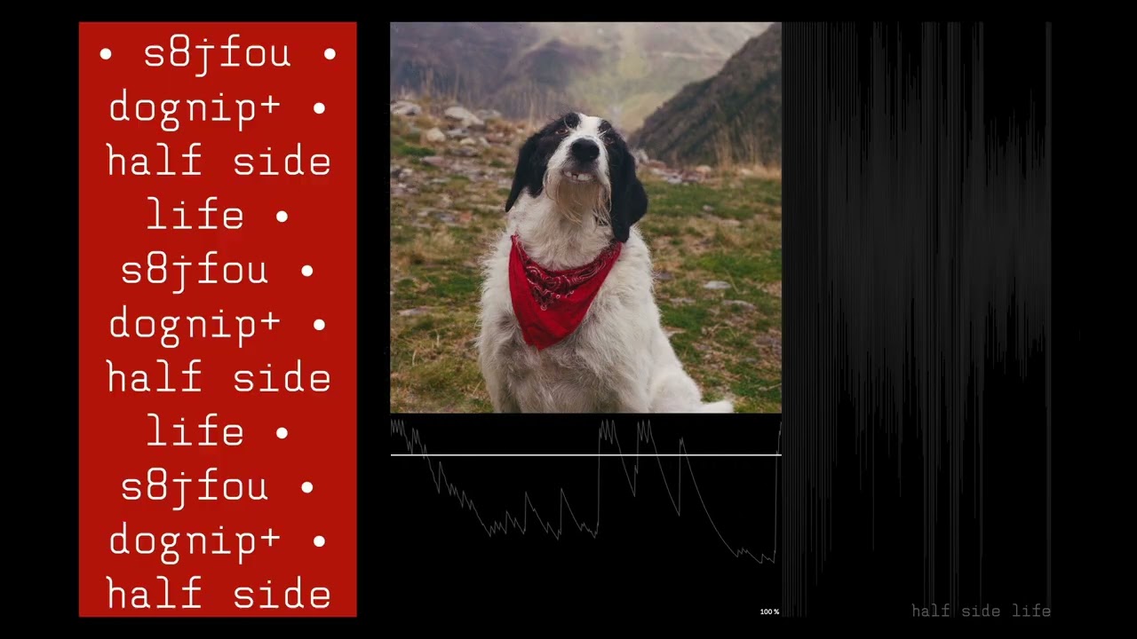 s8jfou - Half Side Life