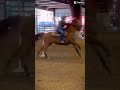 Zena  barrelracing edit horse fyp life velocity lifestyle dunitwithzenya