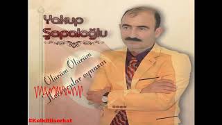 Yakup Şapaloğlu - İndim Dereye Doğru (Kelkitvadisi Horanlar) Resimi