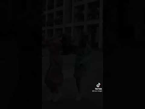 تيك توك جديد لنور ادريس مع ليا على تريند أغنية مبنمشيش جنب الحيط احنا بنمشي في نص الشارع 