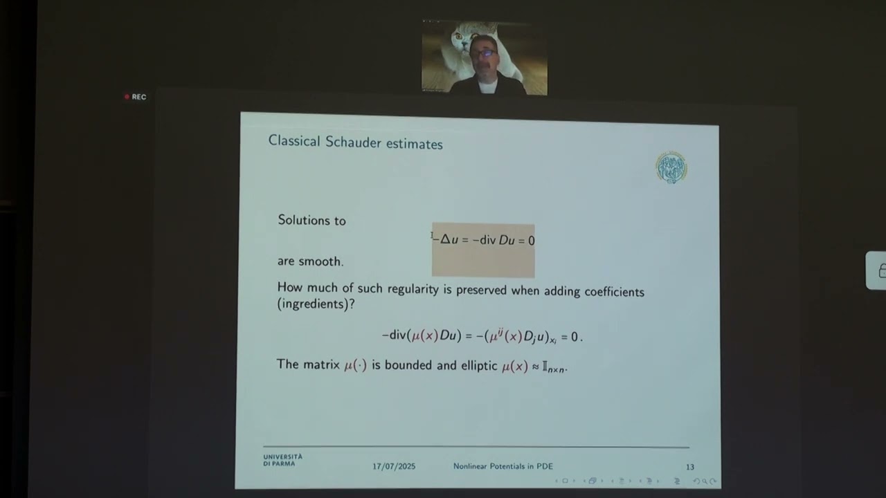 Okinawa Lectures II - Nonlinear potentials in PDE: from uniformly to nonuniformly, Giuseppe Mingione