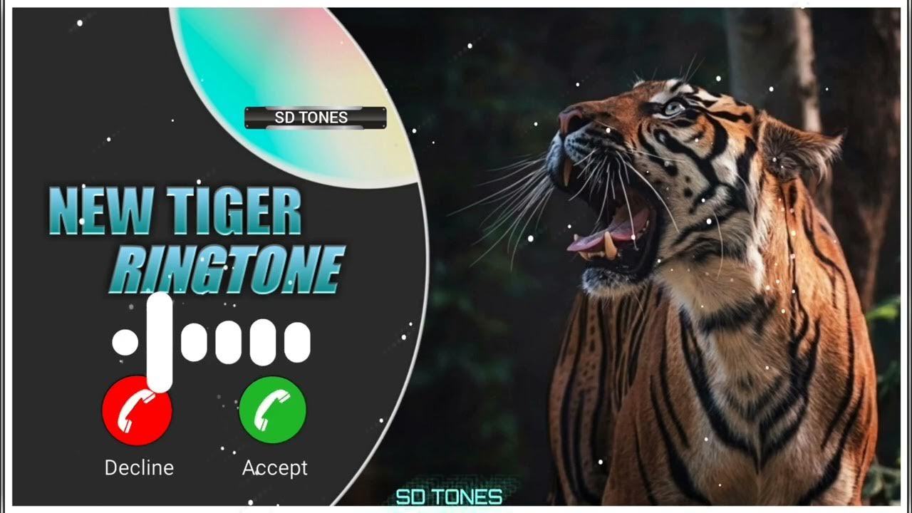 Тигр на черном фоне. Лев тик ток. Tik tok лев mp3. Обои на айфон тигр. Тигр.