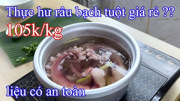 THỰC HƯ RÂU BẠCH TUỘT NHẬT BẢN KHỔNG LỒ GIÁ RẺ | LÚ TV