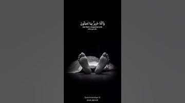 شيخ سعد الغامدي اجمل حالات واتس اب دينية سورة المنافقون ولن يؤخر الله نفسا إذا جاء اجلها..🌿💙