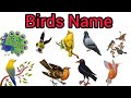 Birds Name | Birds Name in English | Birds Name with pictures Hindi and English Vocabulary | Birds