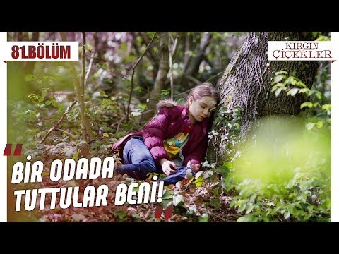 Kemal’den kurtulan Büşra! - Kırgın Çiçekler 81.Bölüm