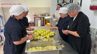 Bir Kadının Mutfakta Başlayan Yolculuğu Onlarca Hayata Dokundu