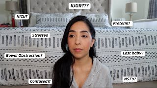 Download lagu My experience with IUGR | Intrauterine Growth Restriction | Let's Chat