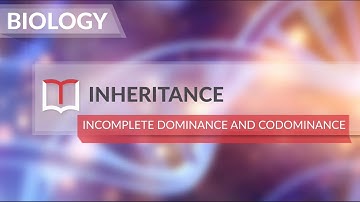 Biology - Grade 10 - Inheritance - Mendelian Principles - Incomplete dominance and Codominance